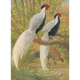 Charles Robert Knight - Chinese Silver Kaleege.webp