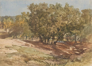 Charles Rochussen - Gezicht te Beekhuizen op de Zijpenberg.webp