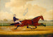 Budd Doble Conduisant Goldsmith Maid na Belmont Driving Park - Charles Spencer Humphreys — widok dzieła