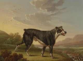 Tyke - Charles Towne — widok dzieła