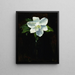 Magnolia - Charles Walter Stetson — oprawiony obraz na ścianie
