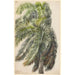 Reprodukcja obrazu Palma Real - Charles de Wolf Brownell