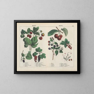 Charlotte Mary Yonge - Fruits.webp