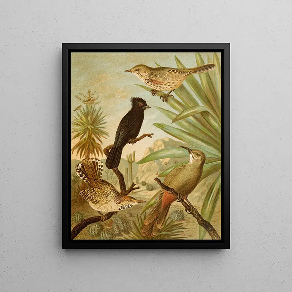 Le monde des oiseaux d'Amérique du Nord pl03 - Christian Anton Goering — oprawiony obraz na ścianie