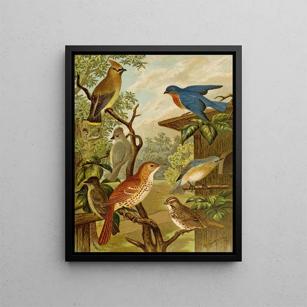 Le monde des oiseaux d'Amérique du Nord pl06 - Christian Anton Goering — oprawiony obraz na ścianie