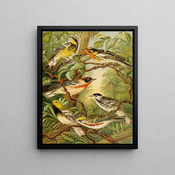 Le monde des oiseaux d'Amérique du Nord pl13 - Christian Anton Goering — oprawiony obraz na ścianie