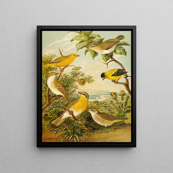Le monde des oiseaux d'Amérique du Nord pl16 - Christian Anton Goering — oprawiony obraz na ścianie