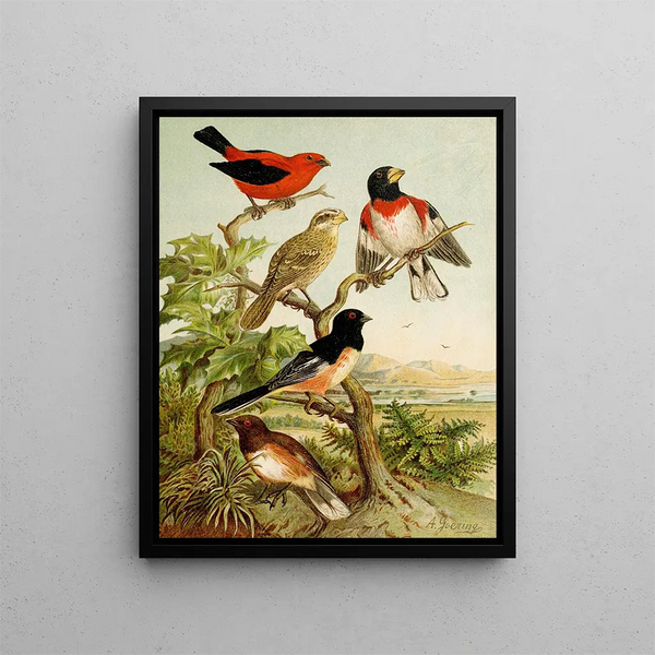 Le monde des oiseaux d'Amérique du Nord pl26 - Christian Anton Goering — oprawiony obraz na ścianie