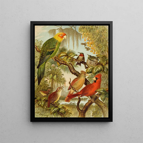 Le monde des oiseaux d'Amérique du Nord pl27 - Christian Anton Goering — oprawiony obraz na ścianie