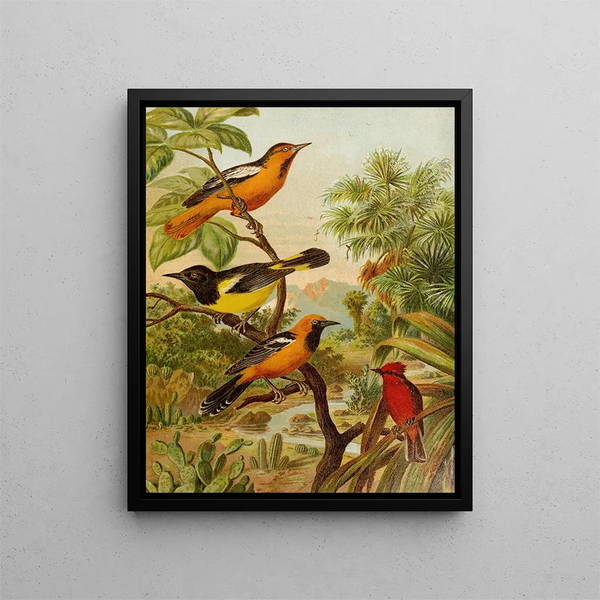 Le monde des oiseaux d'Amérique du Nord pl31 - Christian Anton Goering — oprawiony obraz na ścianie
