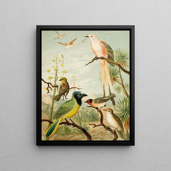 Le monde des oiseaux d'Amérique du Nord pl32 - Christian Anton Goering — oprawiony obraz na ścianie