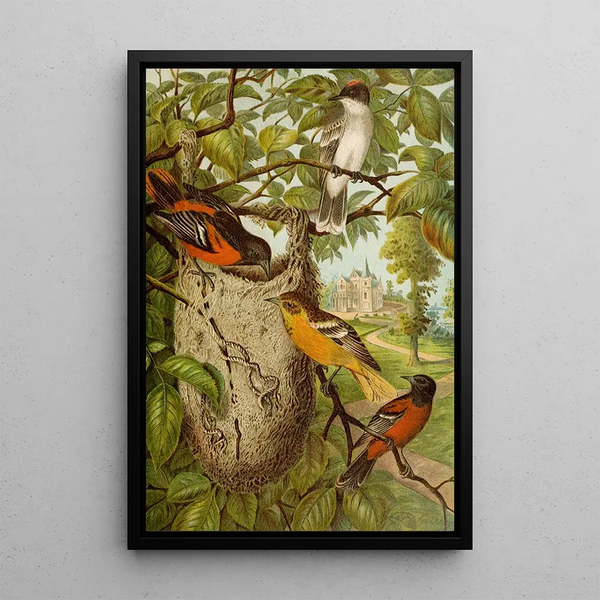 Le monde des oiseaux nord-américains pl33 - Christian Anton Goering — oprawiony obraz na ścianie