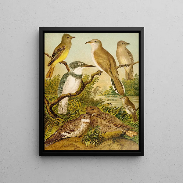 Le monde des oiseaux d'Amérique du Nord pl34 - Christian Anton Goering — oprawiony obraz na ścianie