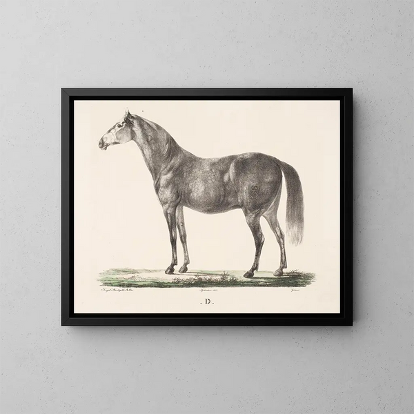 Le cheval D - Christian David Gebauer — oprawiony obraz na ścianie
