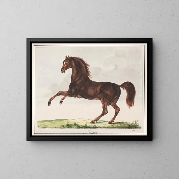 Le cheval bien formé - Christian David Gebauer — oprawiony obraz na ścianie