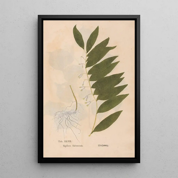 Reprodukcja obrazu Ectypa vegetabilium Pl047 - Christian Gottlieb Ludwig