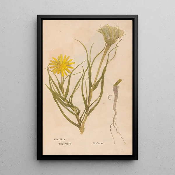Reprodukcja obrazu Ectypa vegetabilium Pl049 - Christian Gottlieb Ludwig