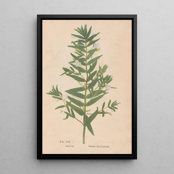 Reprodukcja obrazu Ectypa vegetabilium Pl061 - Christian Gottlieb Ludwig