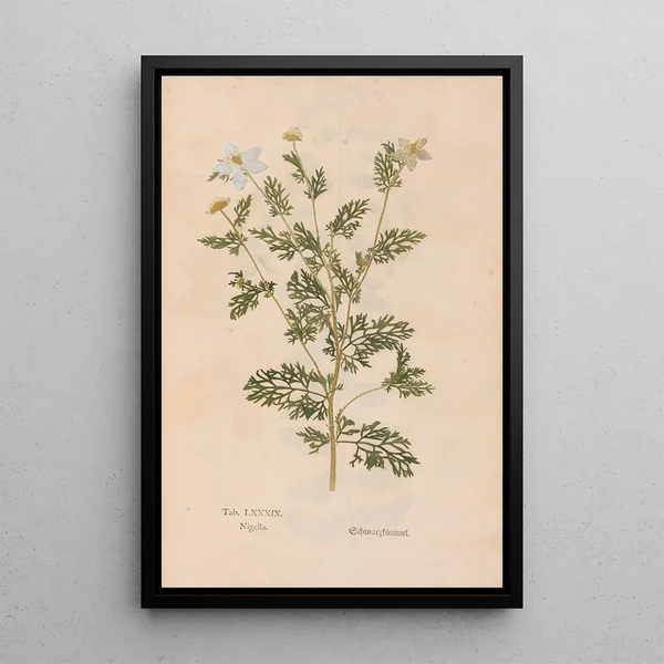 Ectypa vegetabilium Pl089 - Christian Gottlieb Ludwig — oprawiony obraz na ścianie