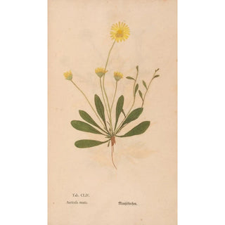 Christian Gottlieb Ludwig - Ectypa vegetabilium Pl154.webp