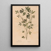 Reprodukcja obrazu Ectypa vegetabilium Pl160 - Christian Gottlieb Ludwig