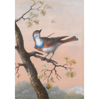 Reprodukcja obrazu Un Gorgebleue - Christoph Ludwig Agricola