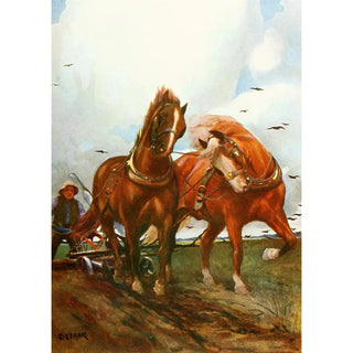 Christopher Clark - Suffolk Horses.webp