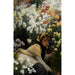 Reprodukcja obrazu Chryzantemy - James Tissot