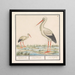 Cigogne Ciconia ciconia - Anselmus Botius de Boodt — oprawiony obraz na ścianie