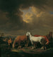 Pięć koni orki - Johann Baptist Dallinger von Dalling — widok dzieła