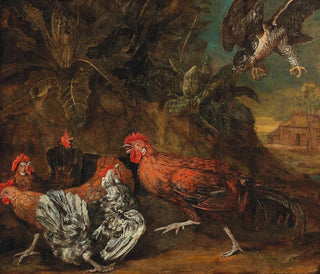 Circle of Melchior de Hondecoeter - Fowl attacked by a bird of prey.webp