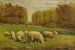 Moutons en pâturage - Clinton Loveridge — widok dzieła
