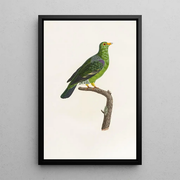 Reprodukcja obrazu Les pigeons Pl07 - Coenraad Jacob Temminck