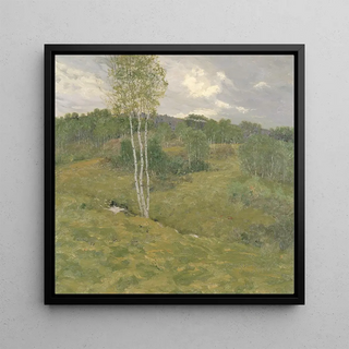 Collines couvertes de bouleaux - Ben Foster
