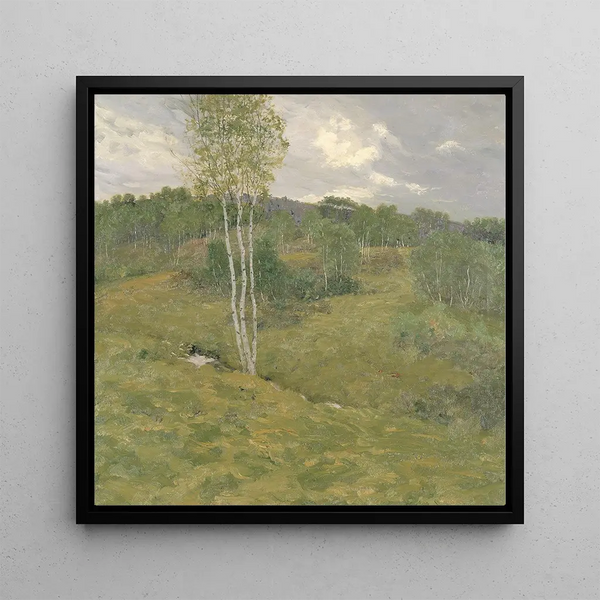 Collines couvertes de bouleaux - Ben Foster