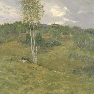 Collines couvertes de bouleaux - Ben Foster