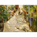Reprodukcja obrazu Czeszący żagiel - Joaquín Sorolla