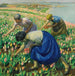 Zbieracze tulipanów - Harold Harvey — widok dzieła