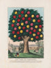 L'Arbre de tempérance - Currier Ives — widok dzieła