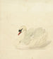 Cygne tuberculé - Aert Schouman — widok dzieła