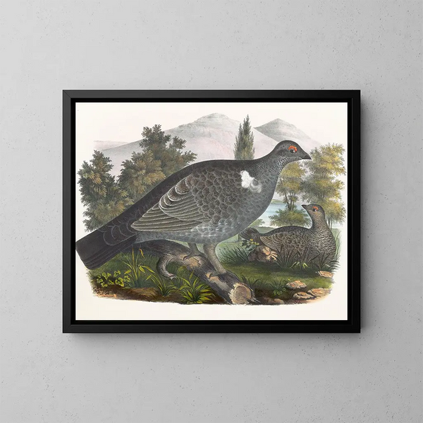 Grouse de Richardson - Daniel Giraud Elliot — oprawiony obraz na ścianie