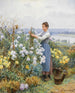 Chryzantemy - Daniel Ridgway Knight — widok dzieła