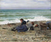 Wysoka fala w Étretat - Daniel Ridgway Knight — widok dzieła