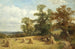 Pole kukurydzy w West Malvern - David Bates — widok dzieła