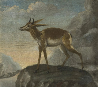 David Kock - Bengal deer.webp