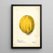 Reprodukcja obrazu Carica papaya - Deborah Griscom Passmore