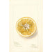 Citrus paradisi Thornton No - Deborah Griscom Passmore — widok dzieła