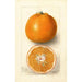Reprodukcja obrazu Citrus sinensis Thornton No - Deborah Griscom Passmore