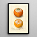 Citrus sinensis - Deborah Griscom Passmore — oprawiony obraz na ścianie