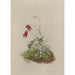 Reprodukcja obrazu Album z akwarelami Deborah Griscom Passmore Pl06 - Deborah Griscom Passmore